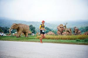 BIB: 
                            <button type="button" onclick="openModal(22401607)" class="btn btn-primary btn-sm float-right btn-popup" data-toggle="modal" data-target=".modal-high-quality">
                        <i class="fas fa-shopping-cart"></i> Add to Cart
                    </button>
                                            <button type="button" onclick="isThisMe(22401607, true)" class="btn btn-success btn-sm float-right btn-popup btn-isme hidden" data-toggle="tooltip" data-placement="bottom" title="นี่คือรูปของคุณใช่ไหม คลิกที่นี่เพื่อเอาเข้าอัลบั้ม">
                        <i class="fas fa-plus"></i> Add to album
                    </button>
                    <button type="button" onclick="isThisMe(22401607, false)" class="btn btn-warning btn-sm float-right btn-popup btn-isnotme hidden">
                        <i class="fas fa-ban"></i> Remove from album
                    </button>